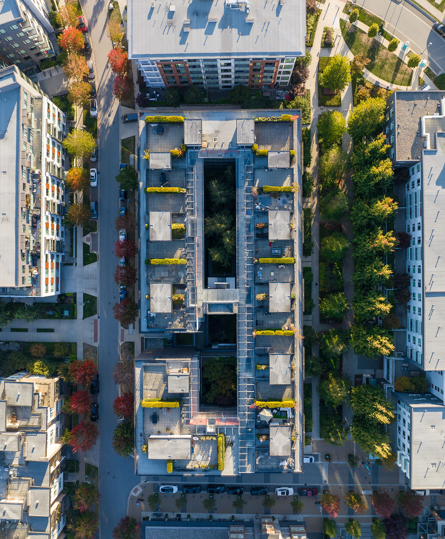 aerial view of city building